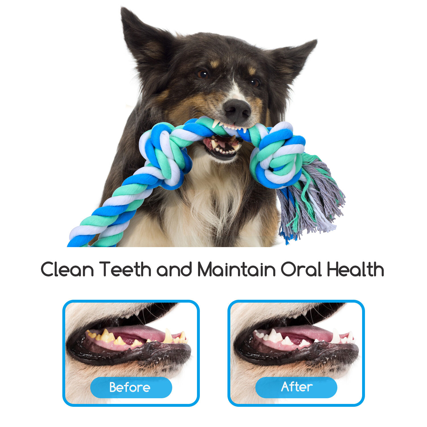 Nobleza Juguetes de Cuerda para Perros thumbnail