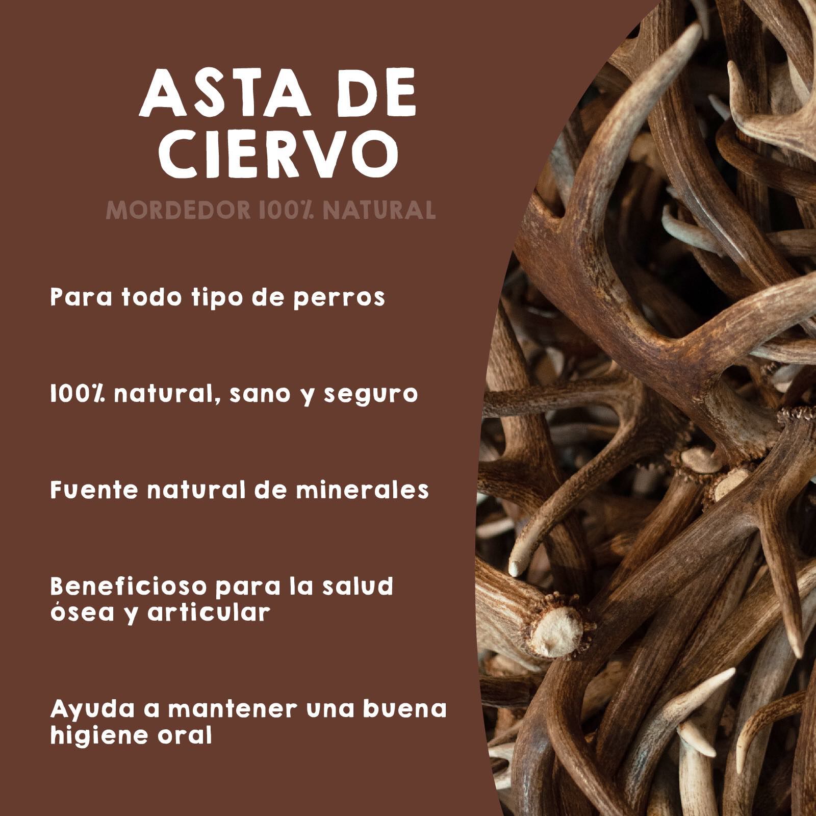 MAIKAI Asta de Ciervo para Perros - Pack de 2 uds - Mordedor Perro Resistente - Huesos para Perros, , large Imagen numero 4