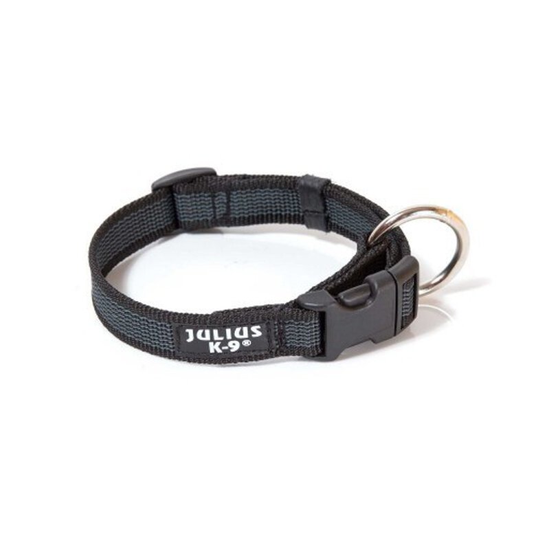 Collar Julius K9 para perros color Negro Tiendanimal