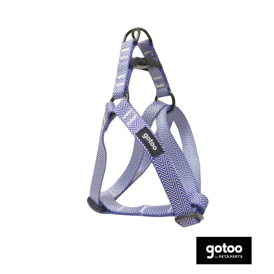 Gotoo Arn&eacute;s estampado rayas azules para perros, , large Imagen numero 2