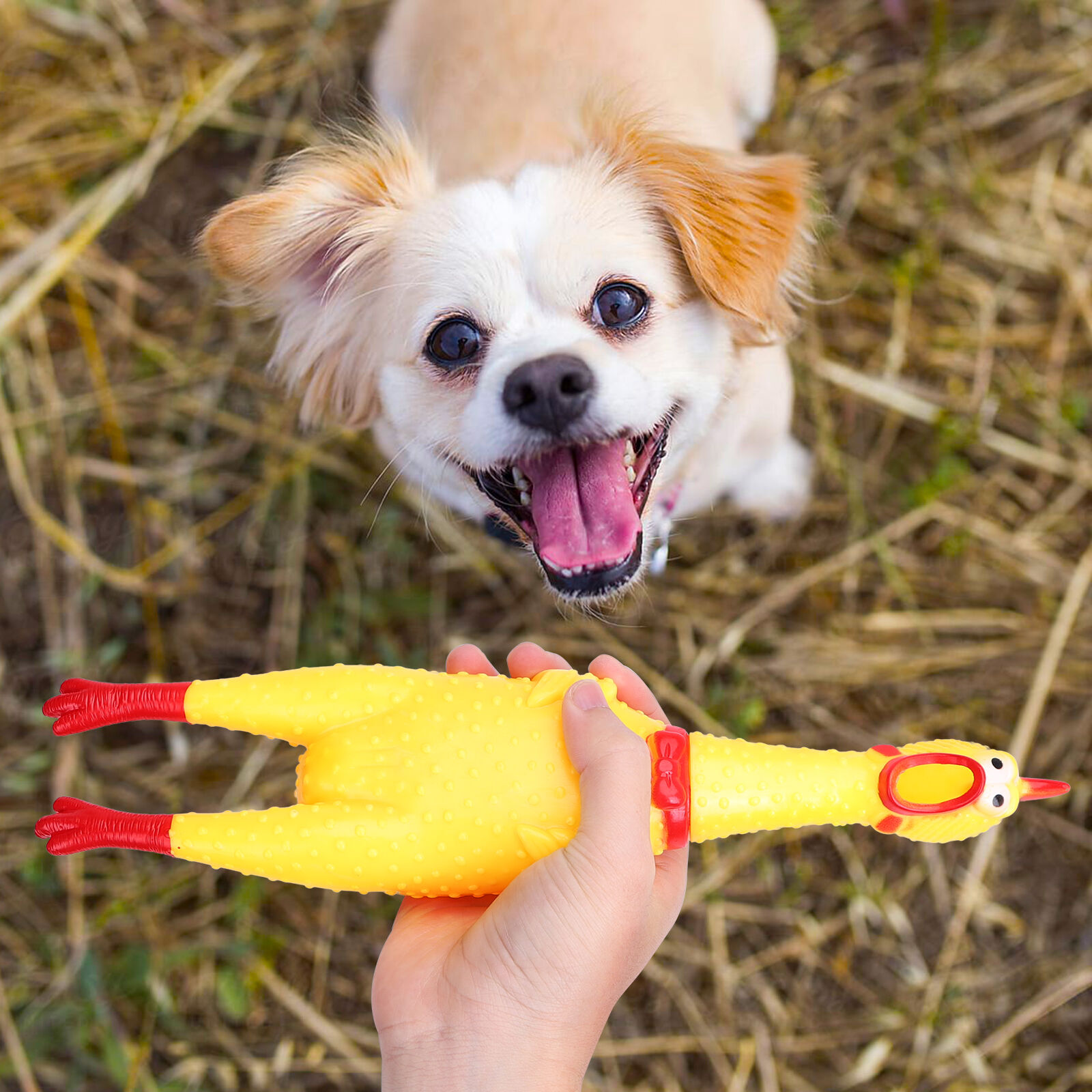 Nobleza - Juguete de goma para perros, pollo gritando amarillo, juguete peque&ntilde;o de descompresi&oacute;n chirriante para limpiar los dientes, , large Imagen numero 5