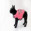 Chaleco Salvavidas para perros color Rosa, , large indicador imagen numero 1