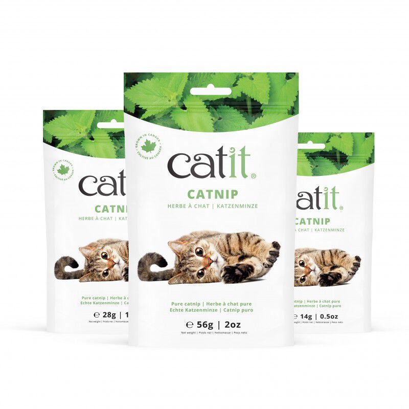 Catit Catnip plantas relajantes para gatos thumbnail