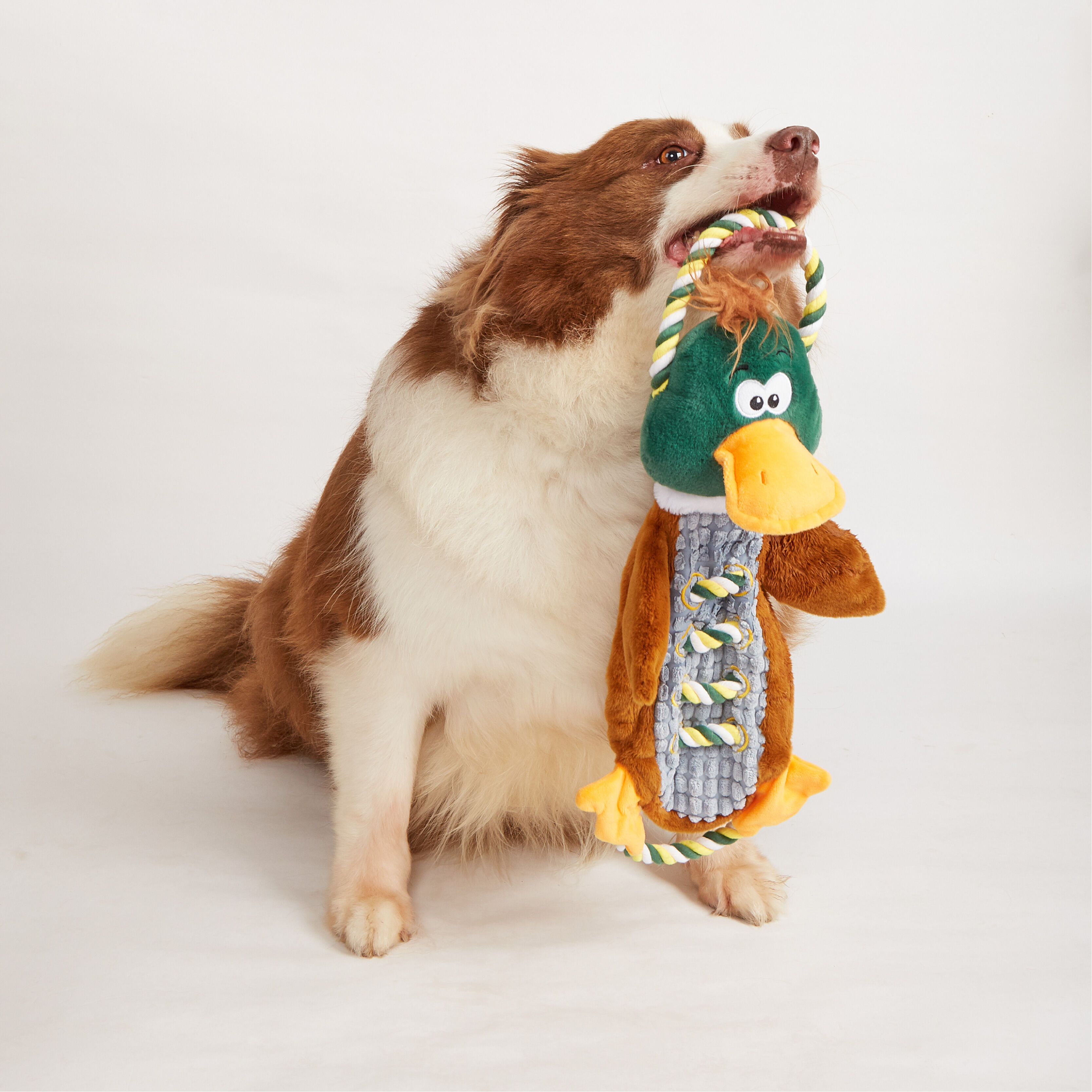 Juguete para Perro Pato con Cuerda, , large Imagen numero 2