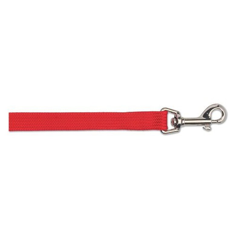 Correa suave Ancol para perros color Rojo, , large image number null