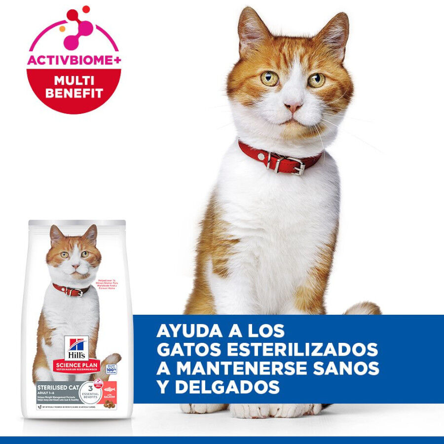 7 kg Hill's Science Plan Sterilised Adult Salm&oacute;n pienso para gatos, , large Imagen numero 4