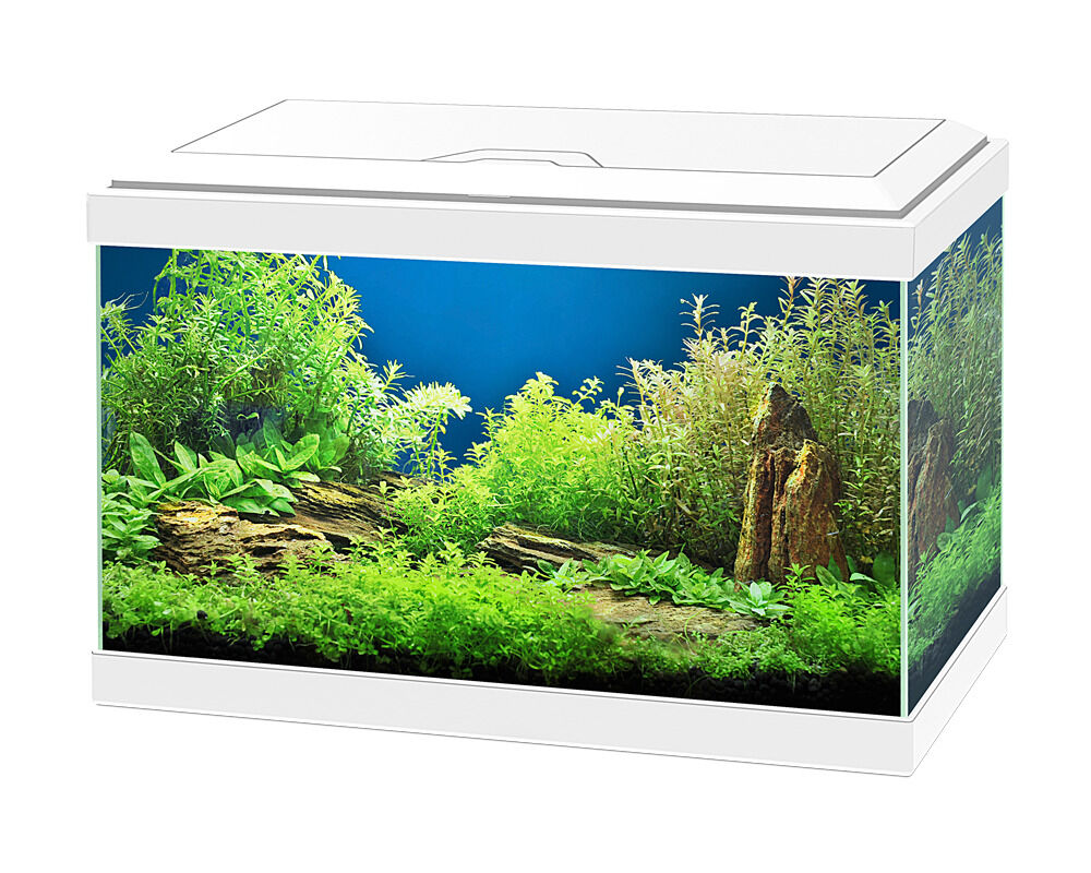 Aqua 20 Ciano Blanco - 17 Litros - Kit con Iluminaci&oacute;n, Filtro y Consumibles, , large Imagen numero 1