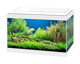 Ciano acuario de cristal Aqua 20 Blanco