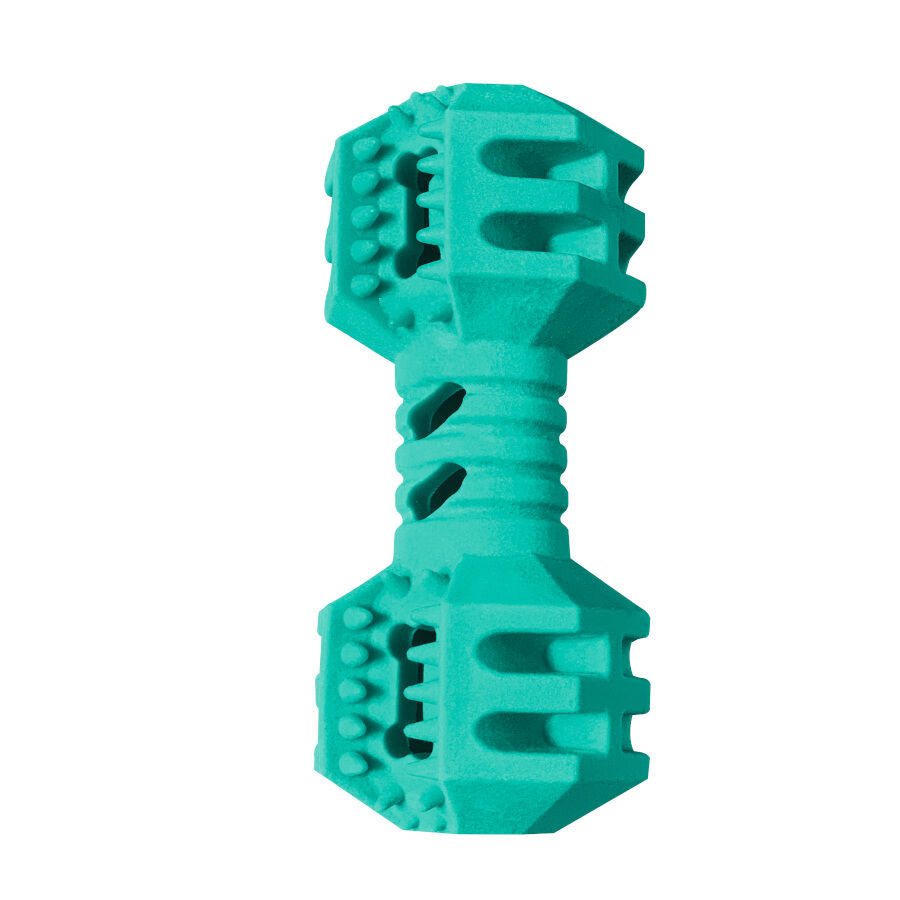 Summer Vibes Pesa Mordedor Flotante para perros, , large Imagen numero 1