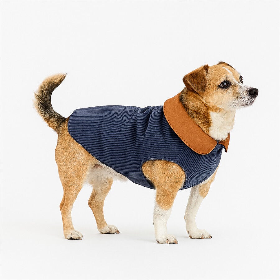 Outech Abrigo Estilo Aviador Rosa y Azul para perros, , large Imagen numero 3