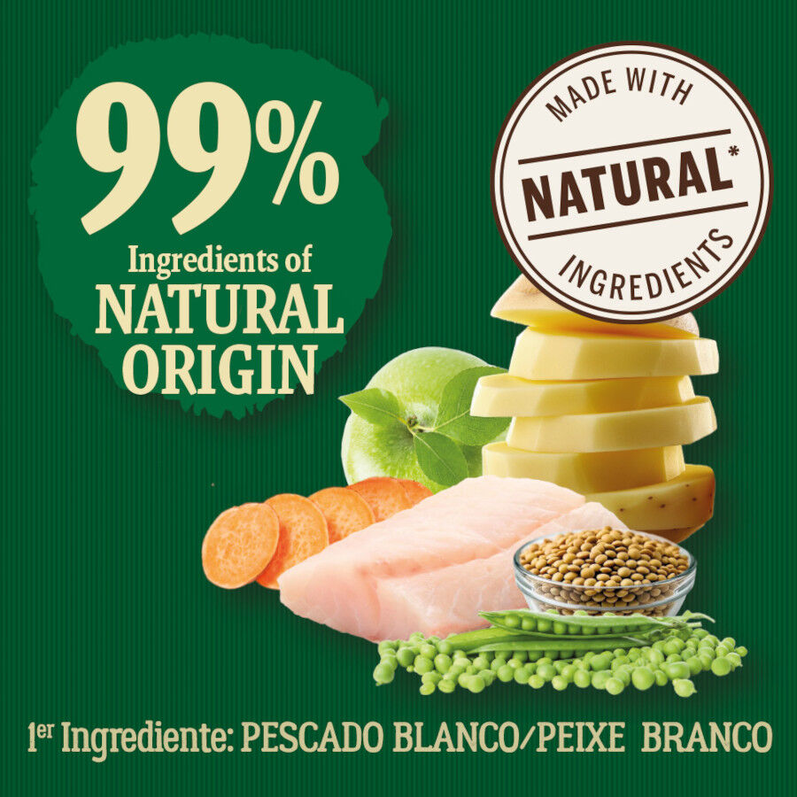 True Origins Wild Golden Coast con Pescado blanco pienso para perros, , large Imagen numero 3