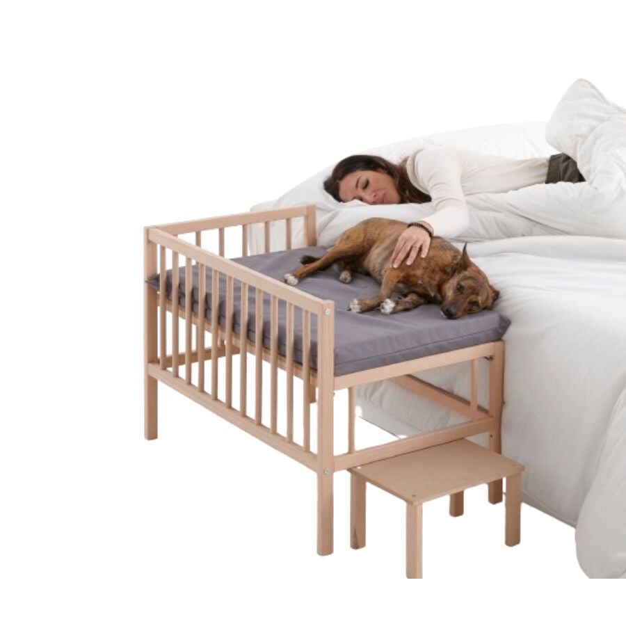 Cool Dreams Pet Cama elevada de madera con escalera para mascota