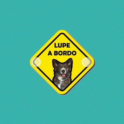 Pet On Board color Amarillo, , large Imagen numero 1