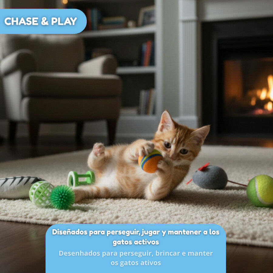Tootoy! Caja de Juguetes Variados para gatos, , large Imagen numero 8