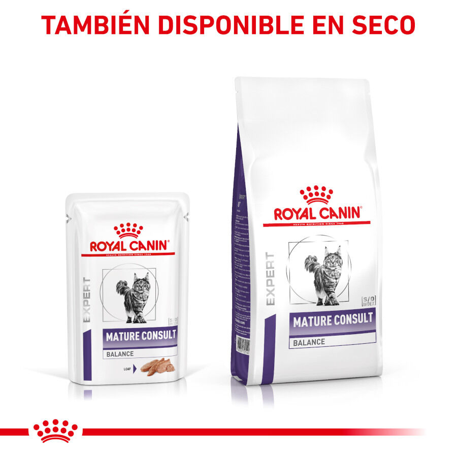 Royal Canin Mature Consult Balance Paté sobre para gatos thumbnail