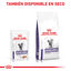 12 sobres x 85 g Royal Canin Mature Consult Balance Paté sobre para gatos, , large indicador imagen numero 7