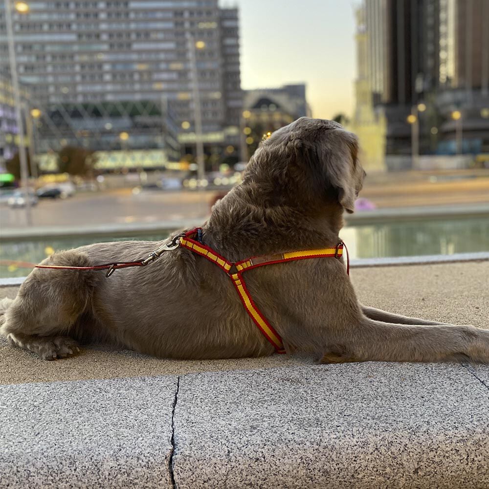 Ladran Gaucho Arnés España hecho a mano para perros thumbnail