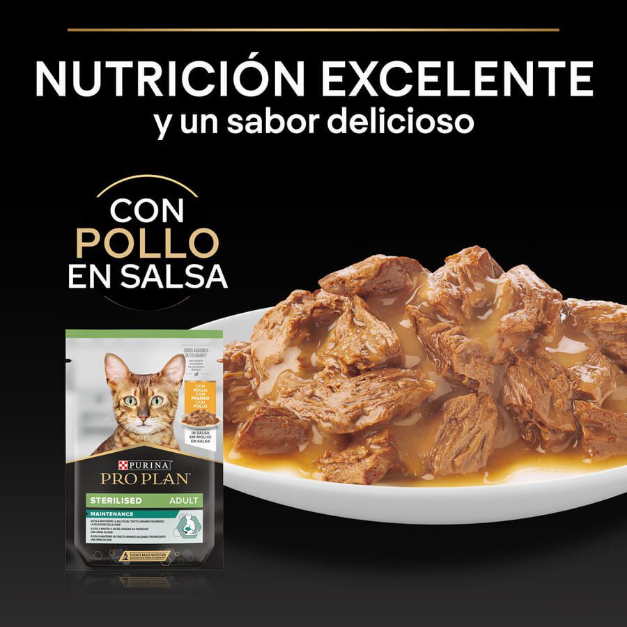 Pro Plan Sterilised Maintenance sobre con Pollo en salsa para gatos thumbnail