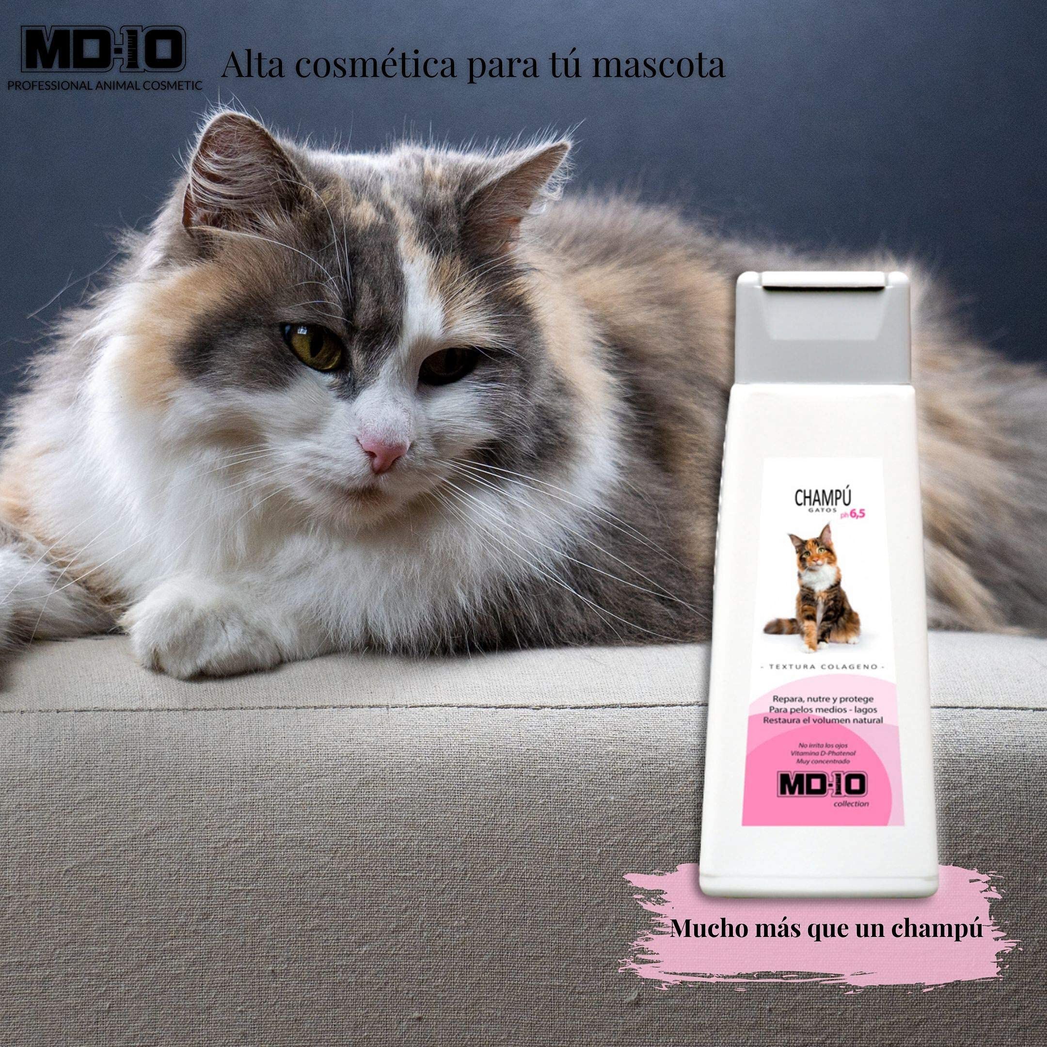 Champ&uacute; para Gatos con Col&aacute;geno Hidrolizado - 300ml - MD10 COLLECTION, , large Imagen numero 4