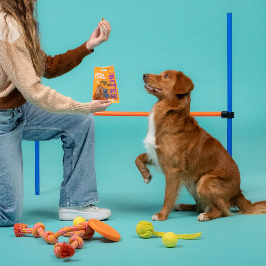 50 g Edgard & Cooper Bocaditos Grande de Pollo para perros, , large Imagen numero 3