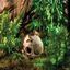 Refugio Exo-Terra Carabela Primate Skull, , large indicador imagen numero 2