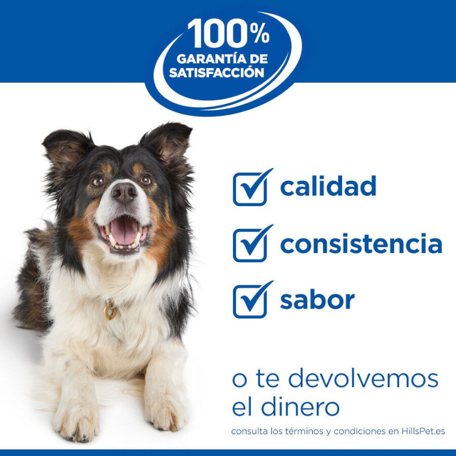 Hill's Science Plan Puppy Estofado con pollo y verduras lata para perros, , large Imagen numero 7