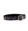 Pamppy funny evan skulls collar de algodón y poliéster multicolor para perros, , large indicador imagen numero 2