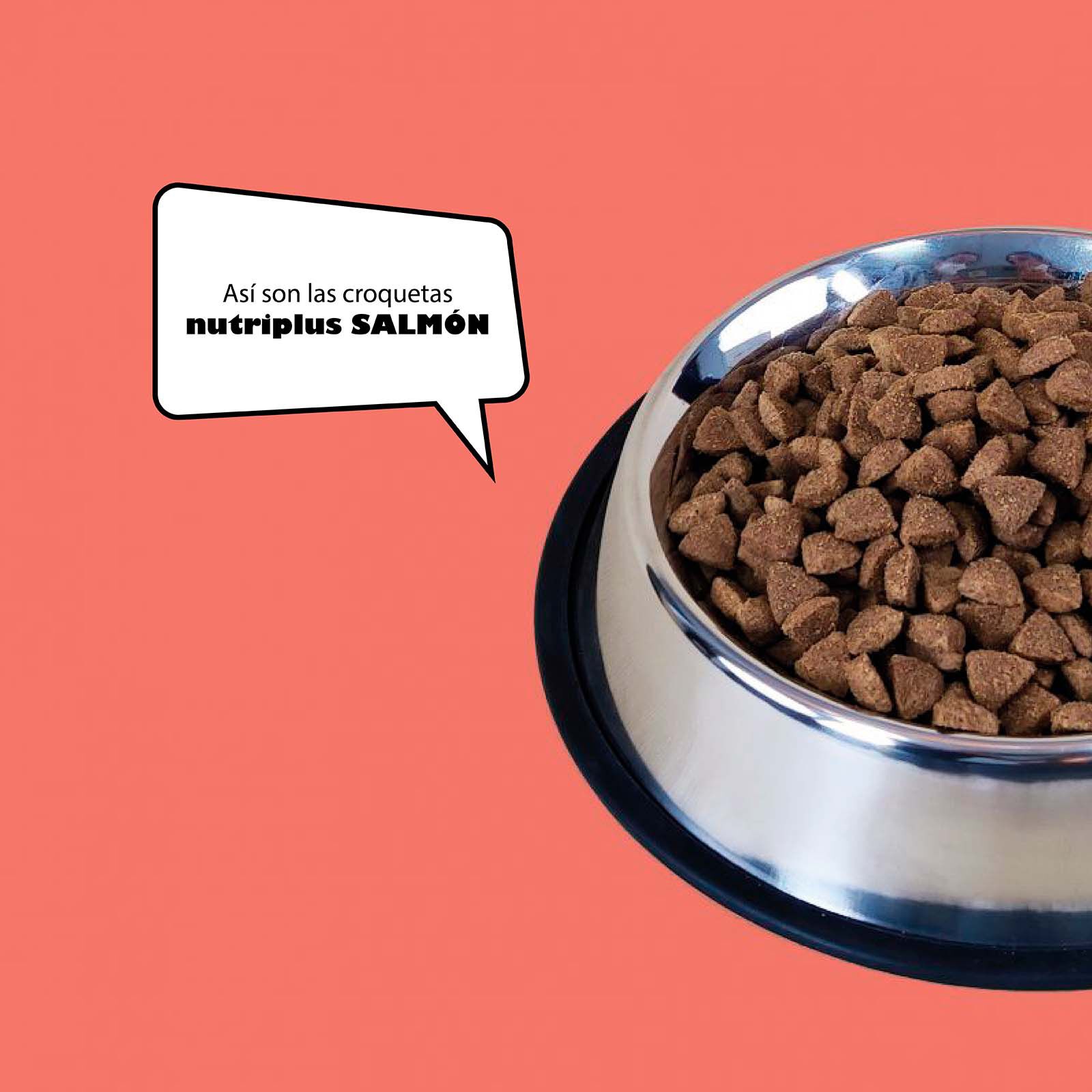 Pienso para perros adultos sabor Salm&oacute;n, , large Imagen numero 3