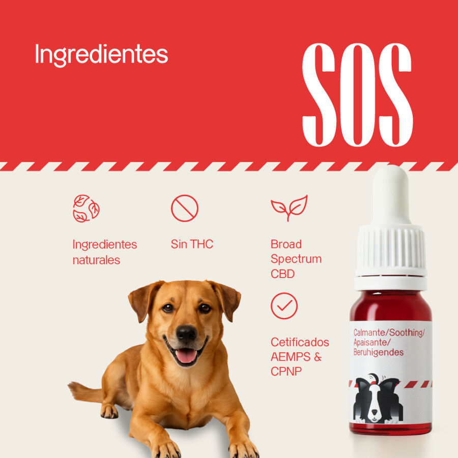 Votum World Aceite Neutro para perros thumbnail