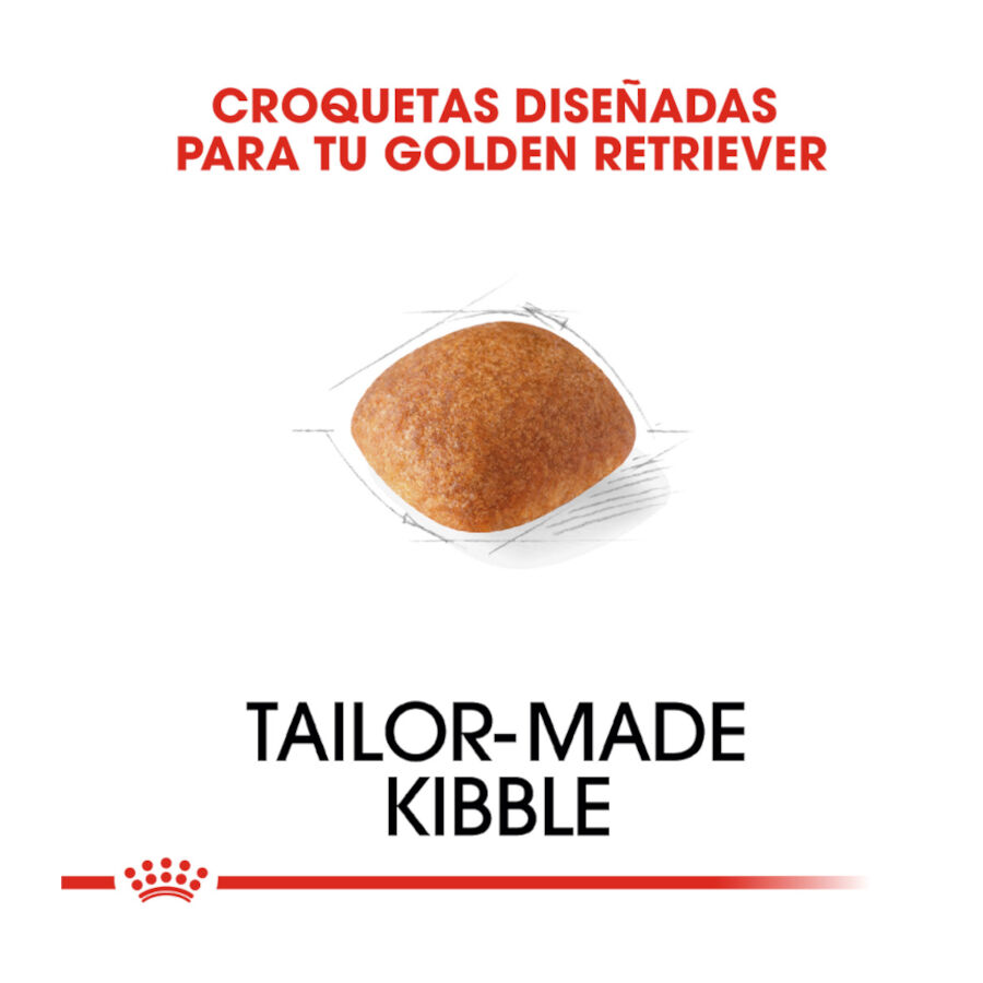 Royal Canin Adult Golden Retriever pienso para perros thumbnail