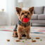 Tootoy! Pelota Toughie Rubber de Goma Roja para perros, , large indicador imagen numero 1