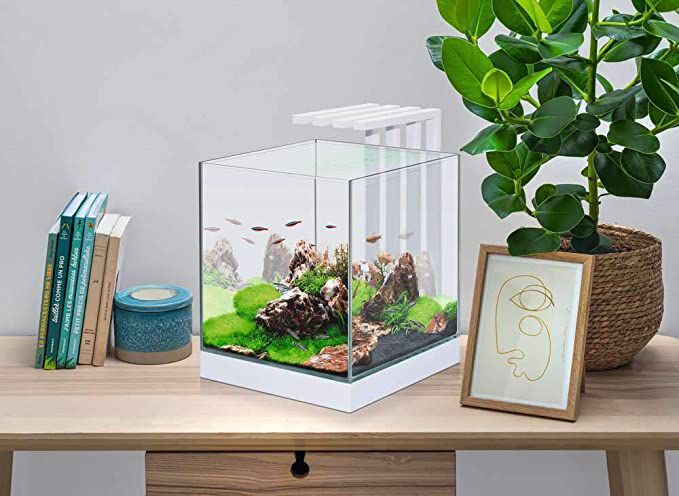 Acuario Nexus Pure Cube 25 - Set Completo 22 litros con LED, Filtro Interior y Consumibles, , large Imagen numero 3