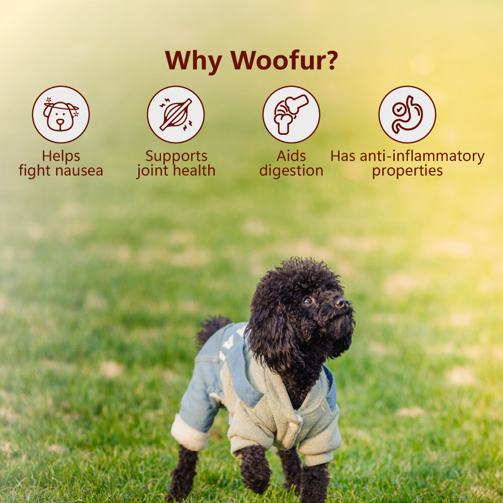 Delicias de carne seca: pollo y jengibre (50 g/1,76 oz), , large Imagen numero 5