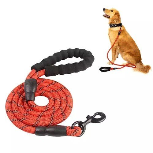 Correa MyPetCare para perro color Rojo, , large Imagen numero 5
