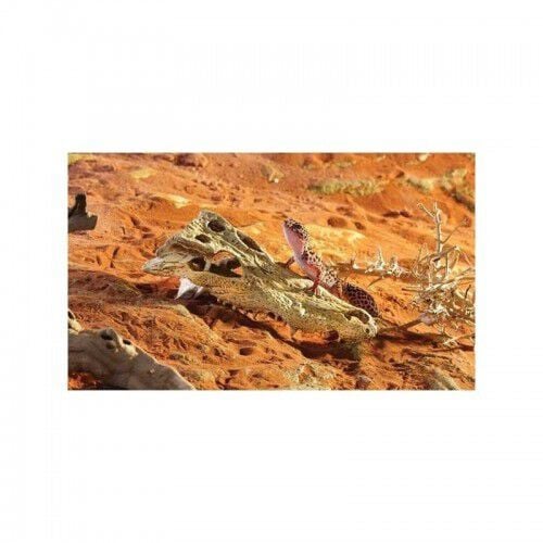Refugio Crocodile skull Exo-Terra thumbnail