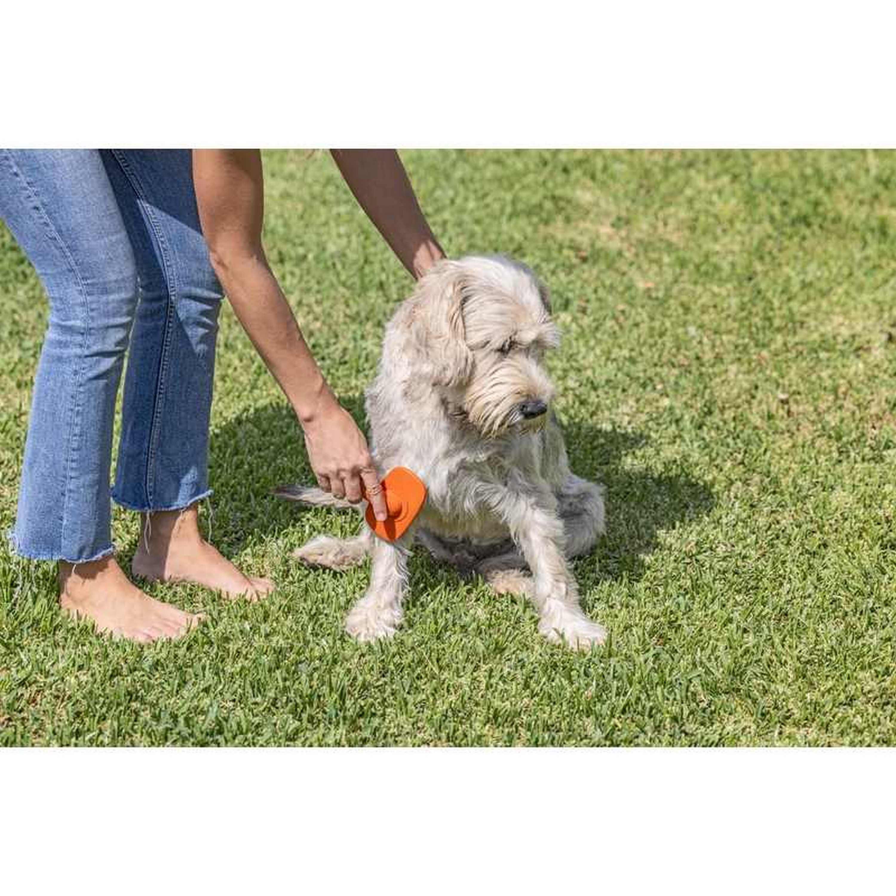 Vigar Pets Club Cepillo metalico para perros thumbnail