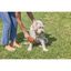 Cepillo metalico pets club, , large indicador imagen numero 5
