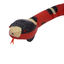 Tootoy! Serpiente Interactiva con Movimiento para gatos, , large indicador imagen numero 3