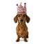 Gorro de cumplea&ntilde;os forma de corona - - Hecha a mano - Estampado de Perro Salchicha Feliz - Rosa, , large indicador imagen numero 2