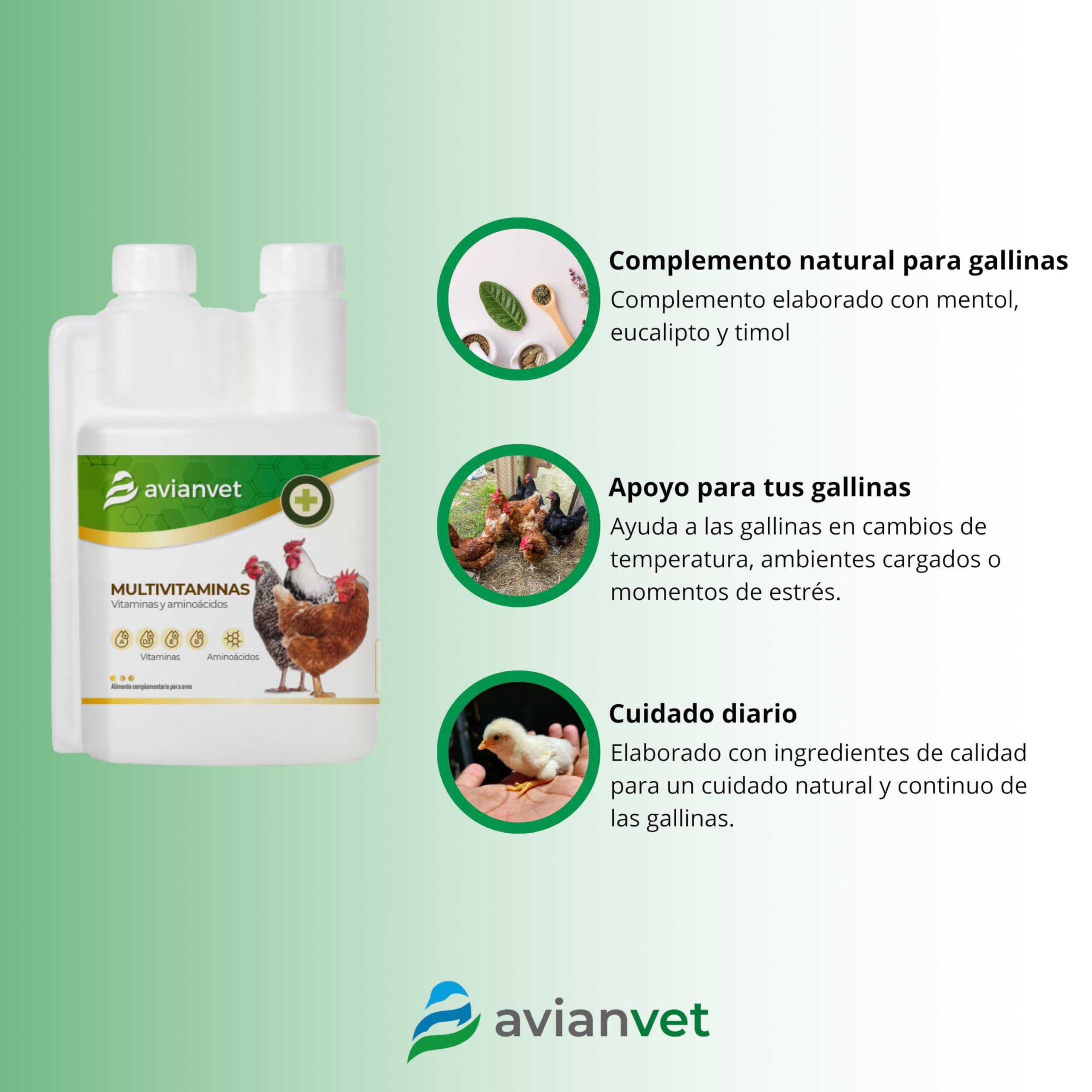 Avianvet Multivitaminas Gallinas 500 ml, , large Imagen numero 2