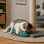JUGUETE GATO O PERRO PELUCHE PEZ MMPET, , large indicador imagen numero 2