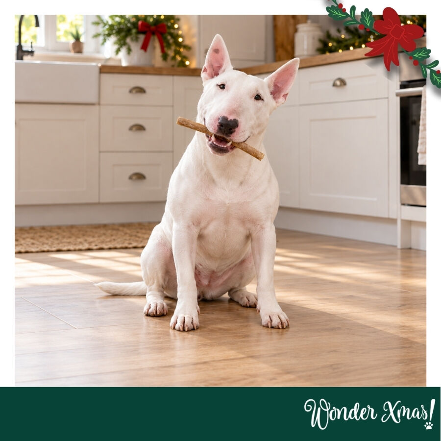 1 pack x 15 uds. Wonder Christmas Palitos Col&aacute;geno con Pavo Snacks para perros, , large Imagen numero 2