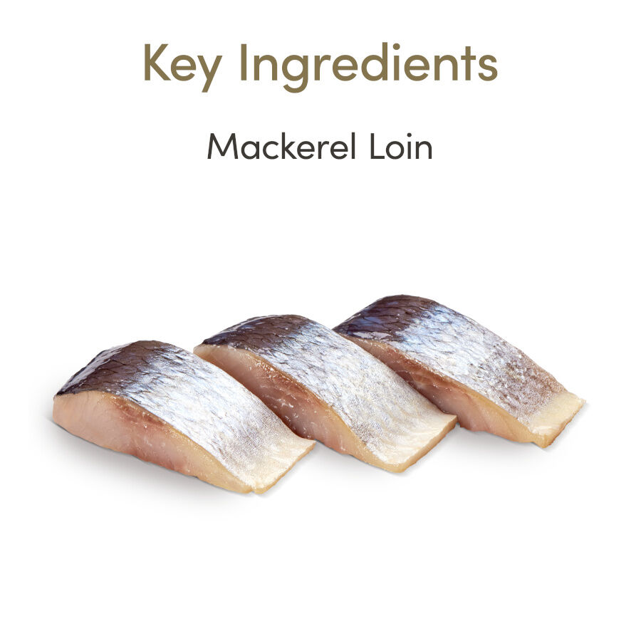 Applaws Lomo de Caballa snack para gatos thumbnail