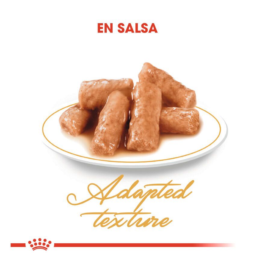 Royal Canin Sobre en Salsa British Shorthair Adult thumbnail