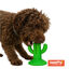Tootoy! Chew Dental Hygiene Cactus mordedor para perros, , large indicador imagen numero 2