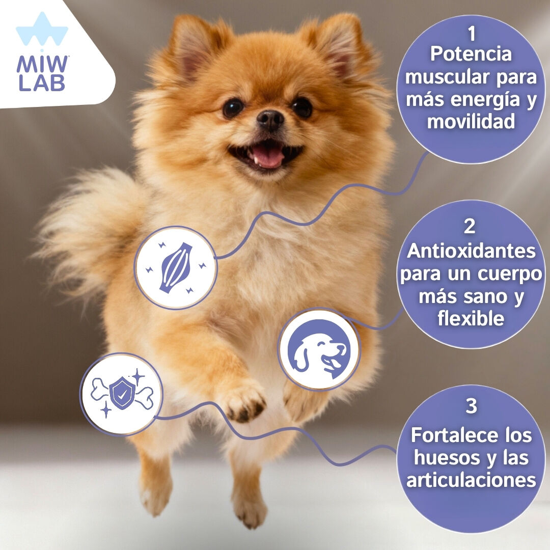 Condroprotector Perro Huesos Fuertes Vitalidad y Energia 150Uds Suplemento Artritis Dolor Pata Cadera Complemento Ayuda Articulaciones F&oacute;rmula de Veterinario Movilidad para, , large Imagen numero 3