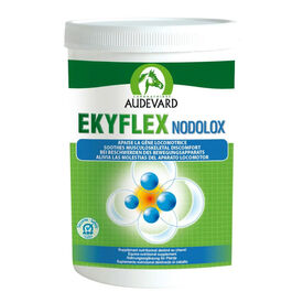 AUDEVARD EKYFLEX NODOLOX 1,2KG