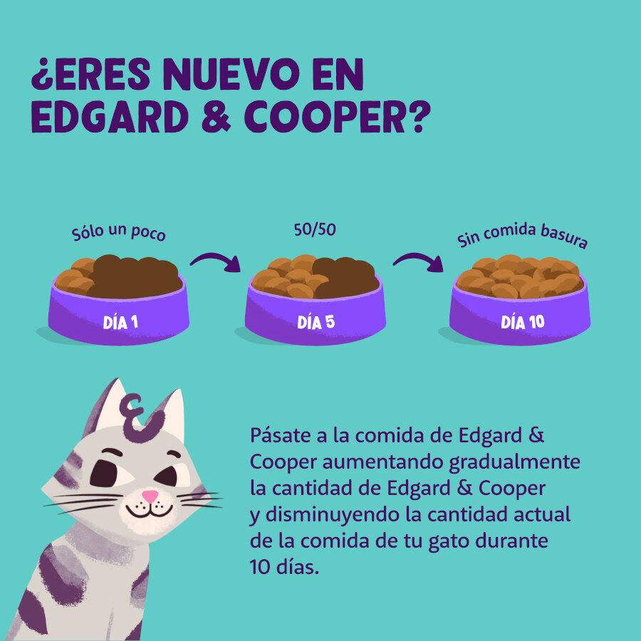 Edgard &amp; Cooper Adult Pavo y Pollo Ecológico en Paté tarrina para gatos thumbnail