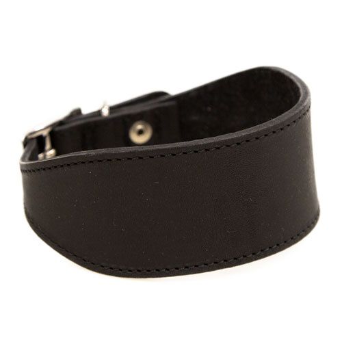 TK-Pet Namur negro collar de cuero para galgos Imagen numero 1