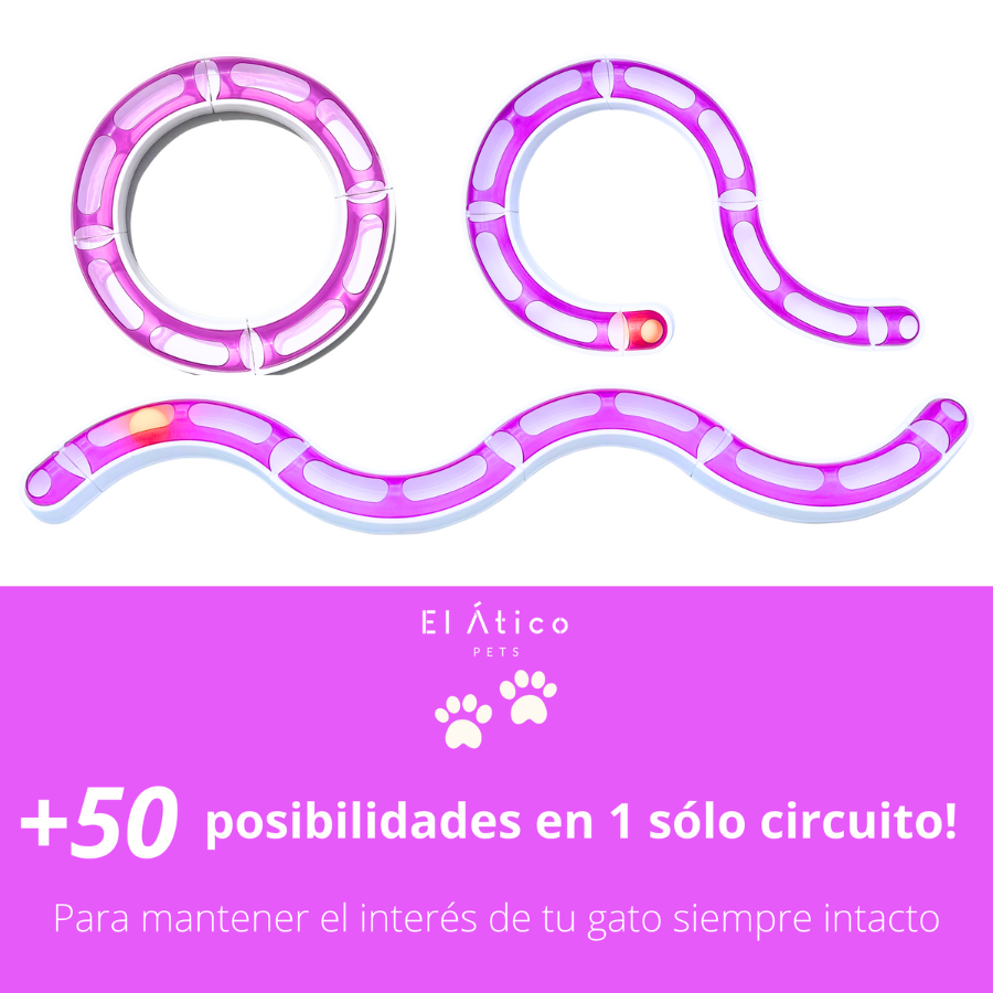 Serpiente para Gatos. Circuito Gatos Interactivo. Juguetes para Gatos. Juguetes Interactivos para Gatos. Cat Toys. Pelota para Gatos. Rueda Giratoria para Gatos, , large Imagen numero 2